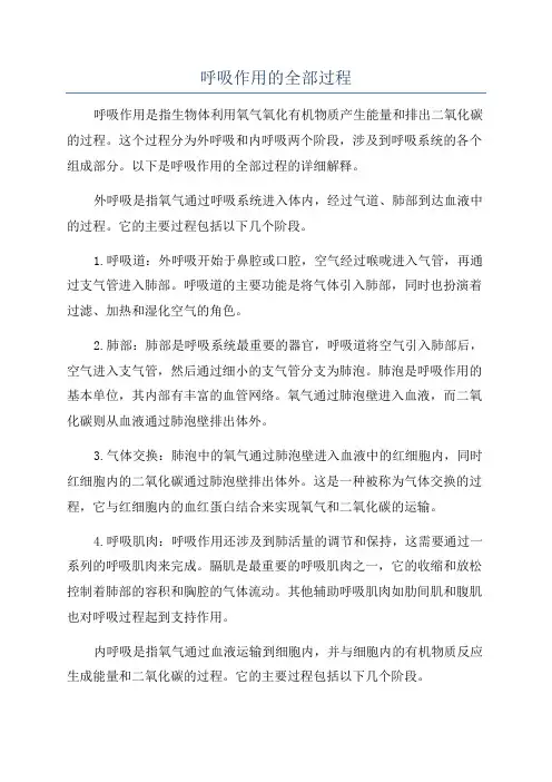 呼吸作用的全部过程
