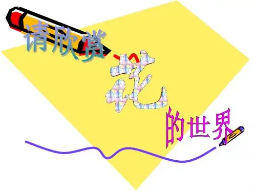 花的结构
