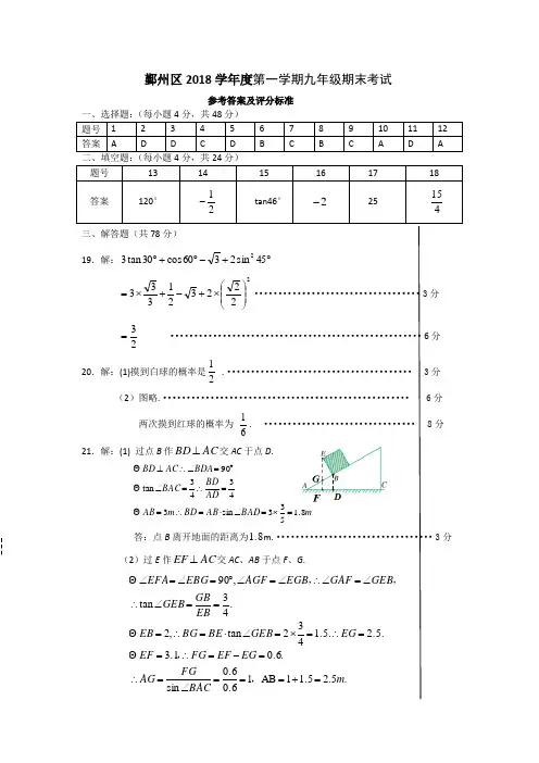 宁波市鄞州区2018-2019学年第一学期九年级初中期末考试五科参考答案