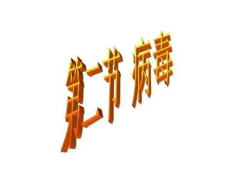 冀少版八上生物  5.1.2病毒 课件   (共20张PPT)