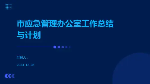 市应急管理办公室工作总结与计划