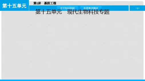 高考生物一轮复习 第十五单元 现代生物科技专题 第1讲 基因工程课件