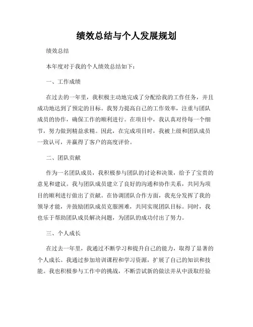 绩效总结与个人发展规划