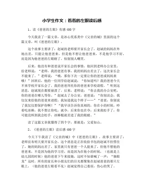 小学生作文：爸爸的左眼读后感