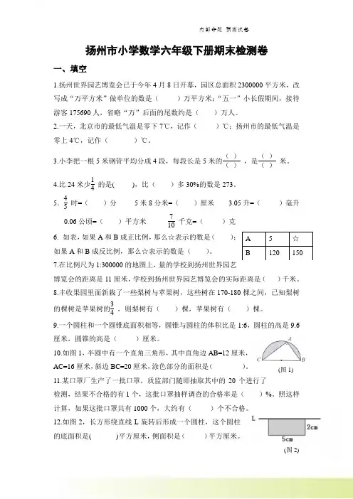 2021年苏教版数学六年级下册期末检测卷【含答案】
