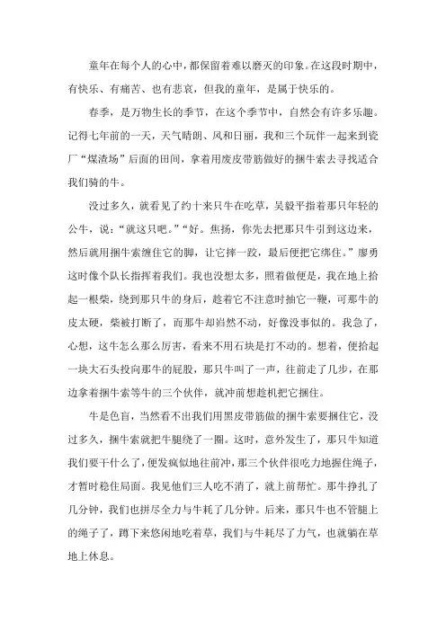 童年的一次快乐游戏作文