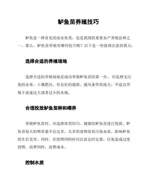 鲈鱼苗养殖技巧