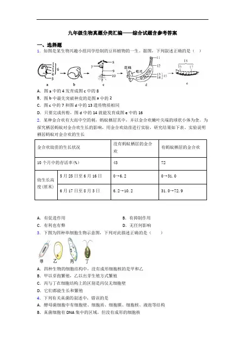 九年级生物真题分类汇编——综合试题含参考答案