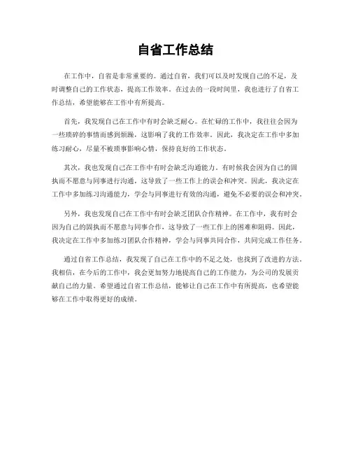自省工作总结