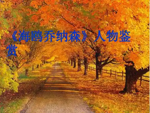 海鸥乔纳森人物鉴赏(乔).ppt.ppt.ppt