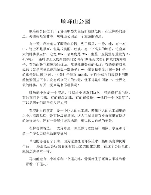 顺峰山公园 2