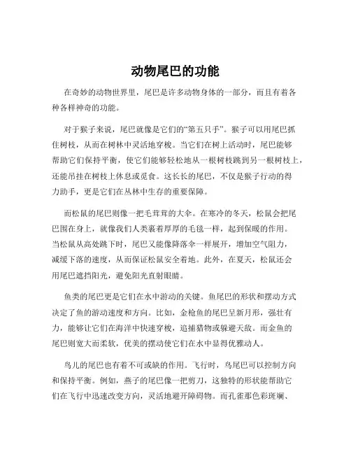 动物尾巴的功能