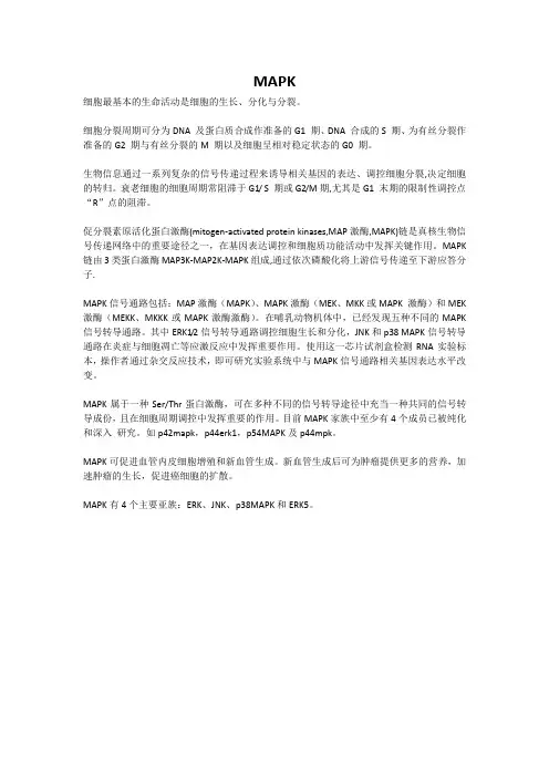 MAPK信号通路