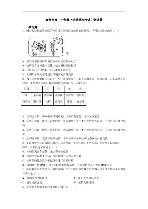青岛市高中一年级上学期期末考试生物试题