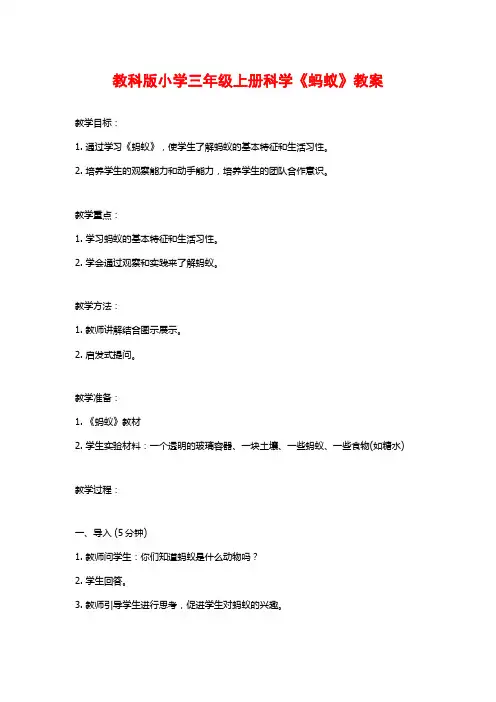 教科版小学三年级上册科学《蚂蚁》教案