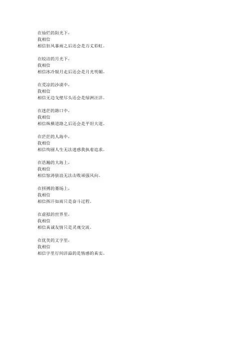 在灿烂的阳光下