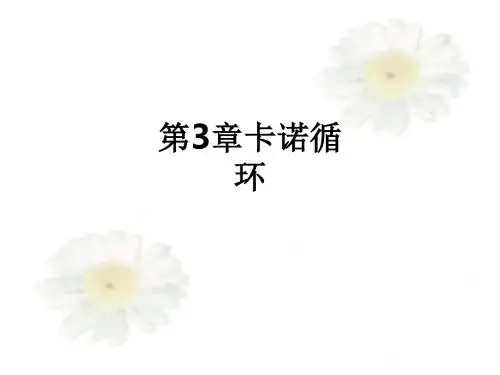 第3章卡诺循环ppt课件