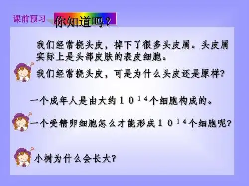 细胞增殖、分化、衰老ppt 优秀课件