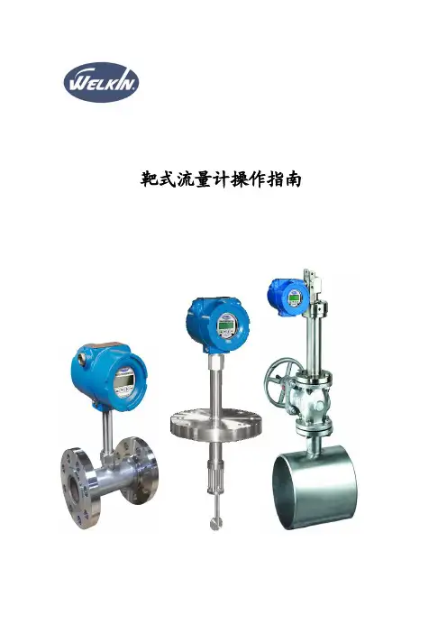 靶式流量计操作指南 M 