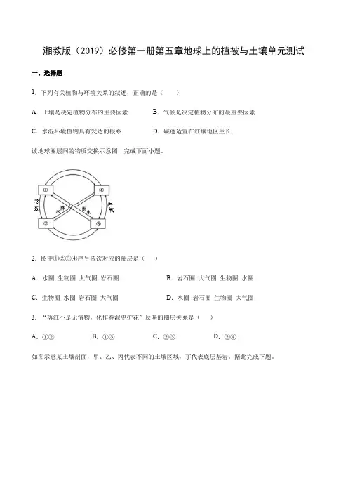 湘教版(2019)必修第一册第五章地球上的植被与土壤 单元测试