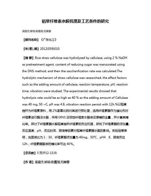 稻草纤维素水解机理及工艺条件的研究