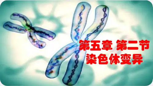 人教版高中生物必修二同步课件染色体变异 课件