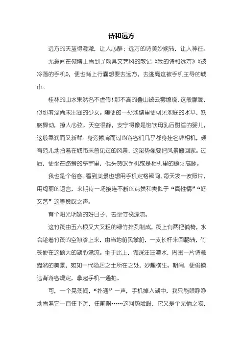 高一作文：诗和远方作文800字