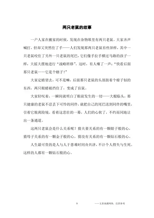 两只老鼠的故事_哲理故事