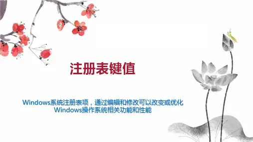 注册表键值 