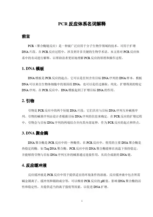 PCR反应体系名词解释