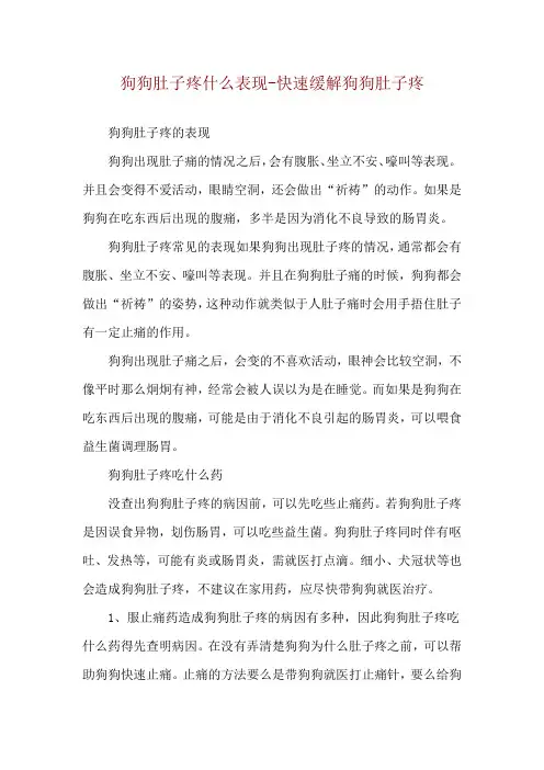 狗狗肚子疼什么表现-快速缓解狗狗肚子疼