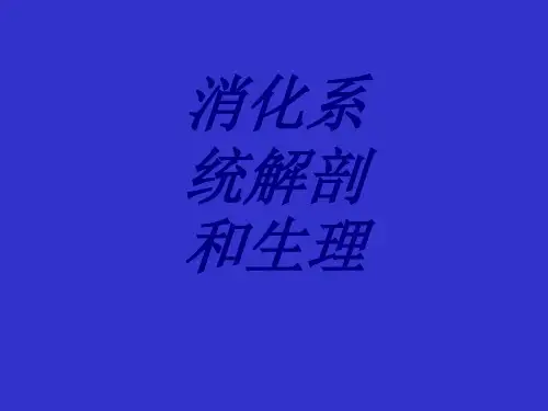 消化系统解剖和生理PPT培训课件