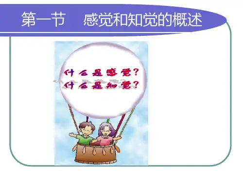 第二章 感知觉138页PPT