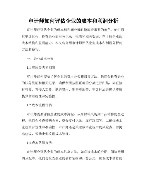 审计师如何评估企业的成本和利润分析