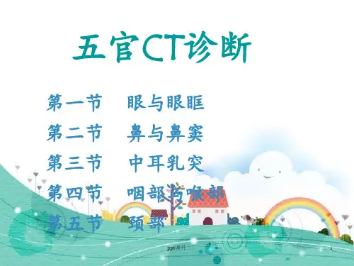 五官CT诊断--眼鼻窦  ppt课件