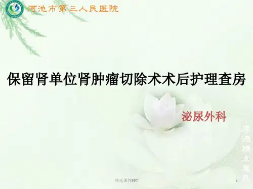 肾肿瘤护理查房ppt课件