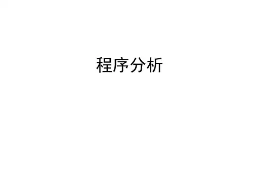 程序分析