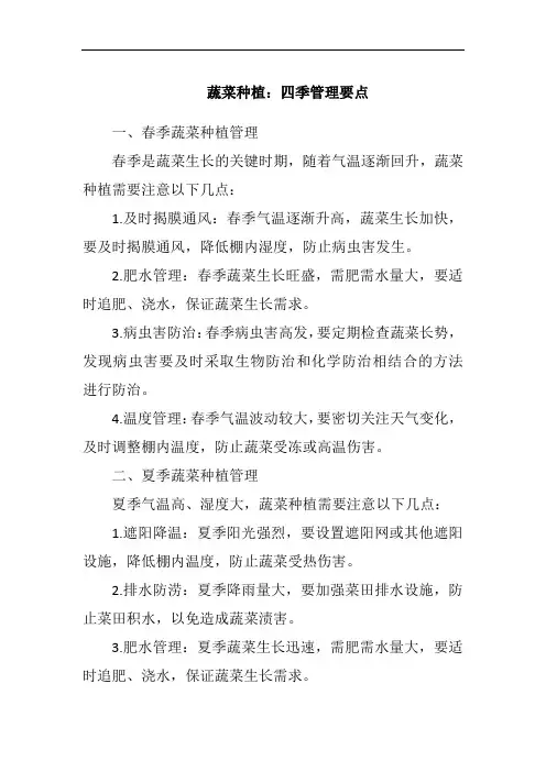 蔬菜种植：四季管理要点