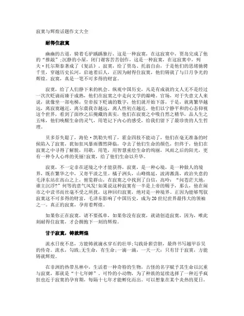 寂寞与辉煌话题作文