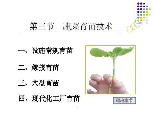 蔬菜育苗技术ppt课件