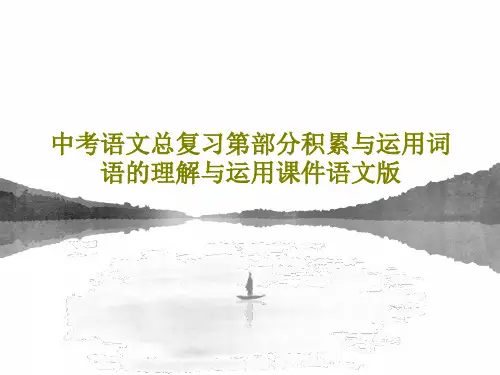 中考语文总复习第部分积累与运用词语的理解与运用课件语文版共26页