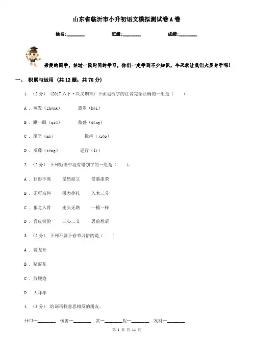 山东省临沂市小升初语文模拟测试卷A卷