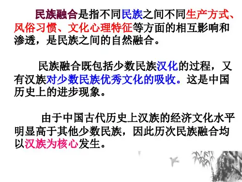 人民版高中历史《励精图治的孝文帝改革》公开课课件PPT1