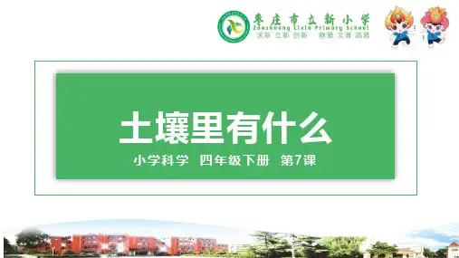 四年级下册科学课堂课件土壤里有什么青岛版