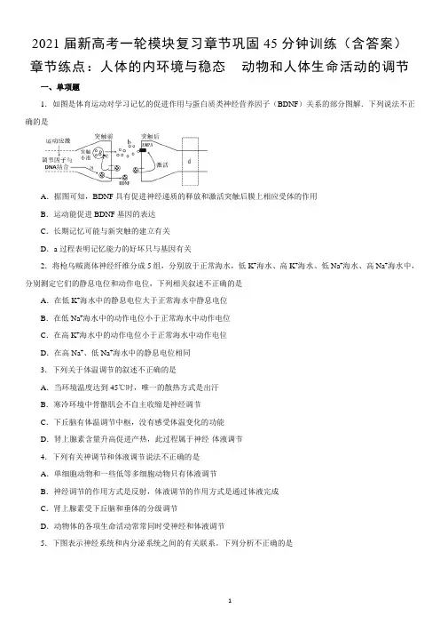 高中生物 新高考一轮模块复习章节巩固训练 人体的内环境与稳态  动物和人体生命活动的调节(含答案)