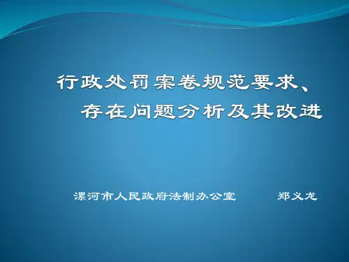 行政处罚案卷存在问题总结