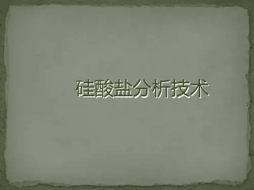 硅酸盐分析技术  ppt课件