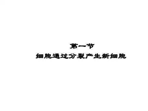 第二单元第二章细胞怎样构成生物体复习课件人教版七年级生物上册