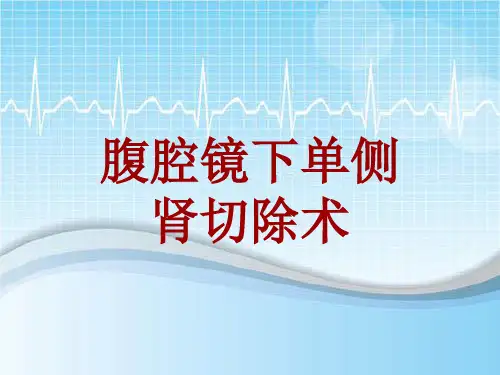 手术讲解模板：腹腔镜下单侧肾切除术