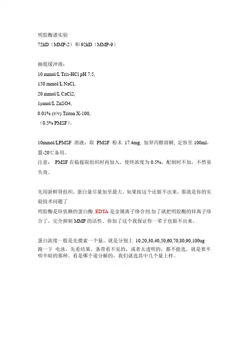 明胶酶谱实验方法
